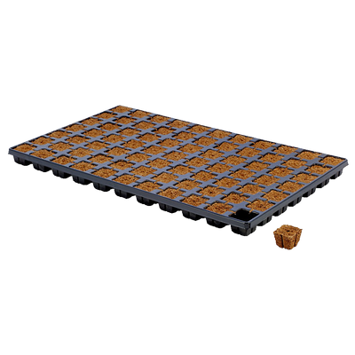 Eazyplug Eazy plug | Stekken plug tray CT Eazyplug Eazy plug | Stekken plug tray CT