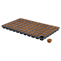 Eazyplug Eazy plug | Stekken plug tray CT