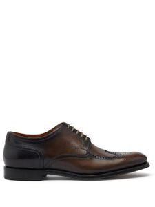 Dolce & Gabbana derbies à détails perforés - Marron