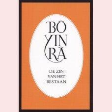 De zin van het bestaan (Paperback)