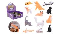 Johntoy Display animal world huisdieren, 12 assorti