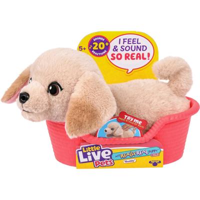 Little Live Pets My Really Real Puppy Mini Buddy