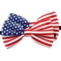 2x Amerika verkleed vlinderstrikjes 12 cm voor dames/heren