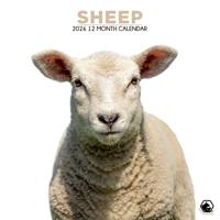 Schapen Kalender 2026