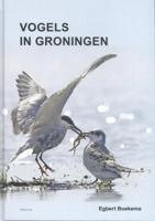 Vogels in Groningen (Paperback)