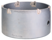 Bosch Accessoires Holle boorkroon SDS-plus-9 112 mm 112 x 50 x 72 mm, 6 1st - 2608550617