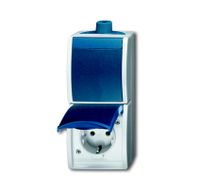 BJ Busch Jaeger wisselcombinatie waterdicht 1684-0-0319