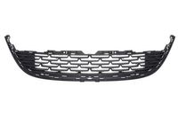 Ventilatiegrille, bumper 6502075053911P