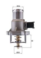 Thermostaat, koelvloeistof TM55105