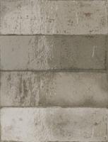 Wandtegel Estudio Amazonia 20x6,5cm stone glans Wandtegel Estudio Amazonia 20x6,5cm stone glans