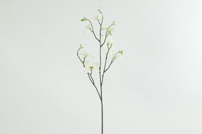 Kunstbloem Cornus M wit - Countryfield