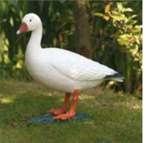 Ubbink Gans wit
