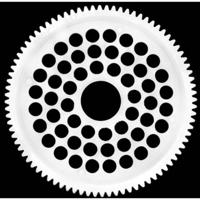 ArrowMax Nylon Recht tandwiel Soort module: 48 DP Aantal tanden: 84