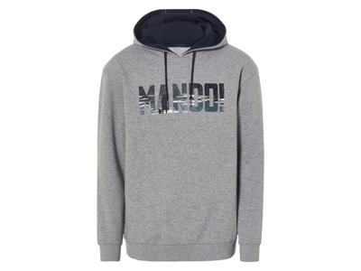 Heren hoodie (L, Grijs)