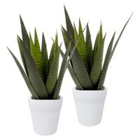 Kunstplant Aloe Vera - 2x - in pot - 23 cm - thumbnail