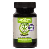 Jacob Hooy CBD Capsules 20mg