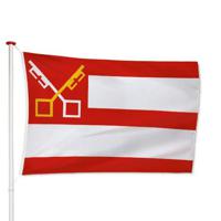 Vlag Boxtel - thumbnail