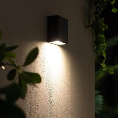 Gevelverlichting 3W antraciet zwart downlighter (Helder wit 4000k) IP54