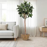 Ficus Elastica Robusta Kunstboom Deluxe 230cm