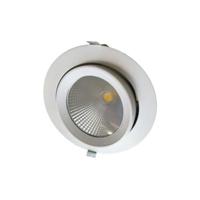 Kantelbare LED Downlight 10 Watt - COB - 1000Lm - Ø140x120mm - 30°