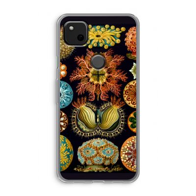 Haeckel Ascidiae: Google Pixel 4a Transparant Hoesje