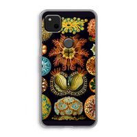 Haeckel Ascidiae: Google Pixel 4a Transparant Hoesje
