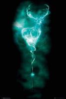 Poster Harry Potter Patronus Stag 61x91,5cm