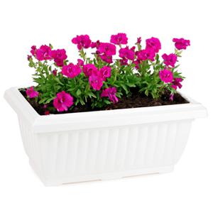 Plantenpot/bloempot Windsor - buiten/binnen - kunststof - wit - L33 x B18 x H15 cm   -