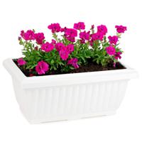 Plantenpot/bloempot Windsor - buiten/binnen - kunststof - wit - L33 x B18 x H15 cm   -