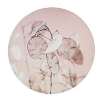 Wanddecoratie Judaspenning hout 38 cm | 8 stuks