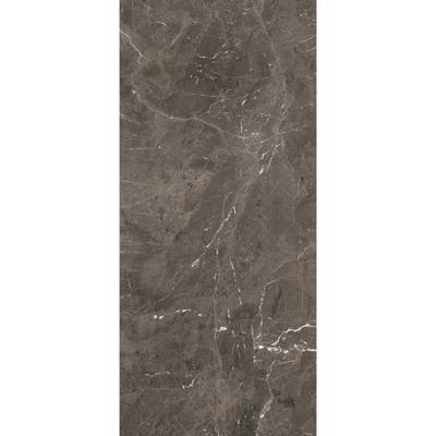Douglas & Jones Vloertegel 120x280 cm Magnum Glans Brown - Vloertegel 120x280 cm Magnum Glans Brown (prijs Per Tegel)