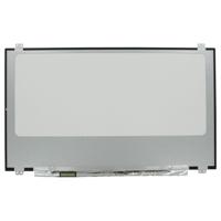 17.3 inch LCD Scherm 1920x1080 Mat 40Pin eDP, IPS, 120Hz
