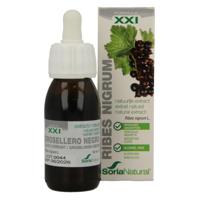 Soria Natural Ribes nigrum XXI extract Soria Natural Ribes nigrum XXI extract