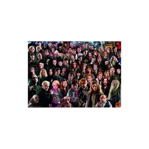 Harry Potter Challenge Jigsaw Puzzle Cast (1000 pieces)