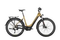 VICTORIA elektrische suv "eadventure 12.5" mod. 22 ebike vict. eadvent. 12.5 27,5/55 wave 10sp beige