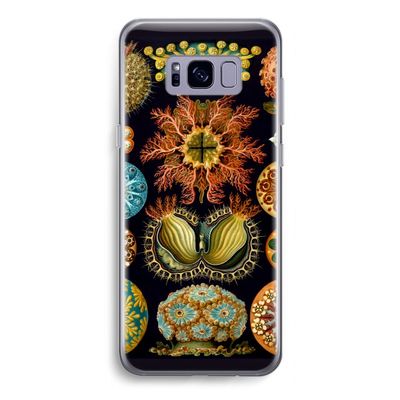 Haeckel Ascidiae: Samsung Galaxy S8 Transparant Hoesje