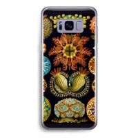 Haeckel Ascidiae: Samsung Galaxy S8 Transparant Hoesje