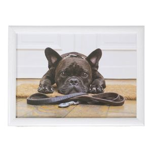 Laptray/schoottafel schattige Franse bulldog honden print 43 x 33 cm