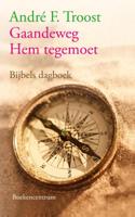 Gaandeweg Hem tegemoet (Paperback)