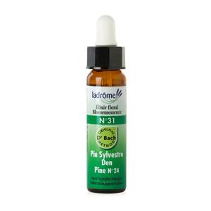 Ladrome Pine/den 31 bio