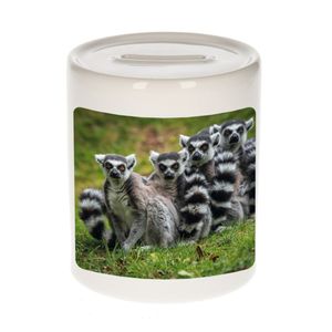 Dieren foto spaarpot maki familie 9 cm - maki apen spaarpotten jongens en meisjes   -