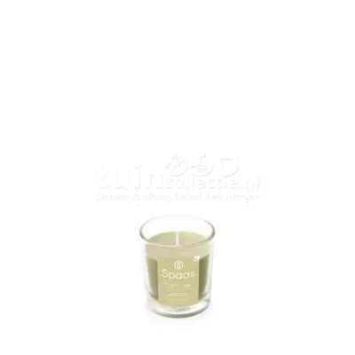 Spaas Geurkaars in Glas Shimmering Smile