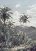 Noordwand Komar Raw Fotobehang The Exotic Land - R2-006