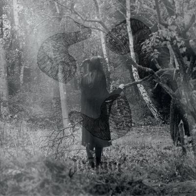 Not Ever - LP (3481575107801)