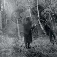 Not Ever - LP (3481575107801) - thumbnail