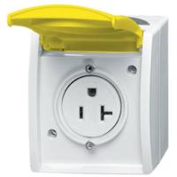 Busch-Jaeger 2CKA002124A0024 Nema-stopcontact Inzetstuk Zink-geel, Geel 1 stuk(s)