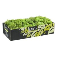 Decoratie/hobby mos groen 500 gram   -
