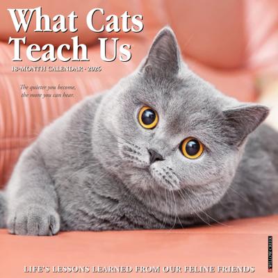 What Cats Teach Us Kalender 2026