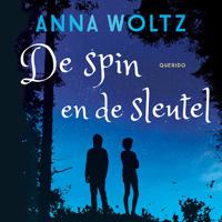 De spin en de sleutel