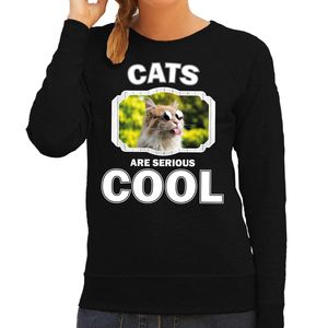 Dieren gekke poes sweater zwart dames - cats are cool trui